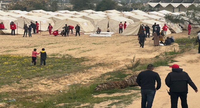 أونروا: عدد النازحين من رفح الفلسطينية تجاوز 630 ألفا