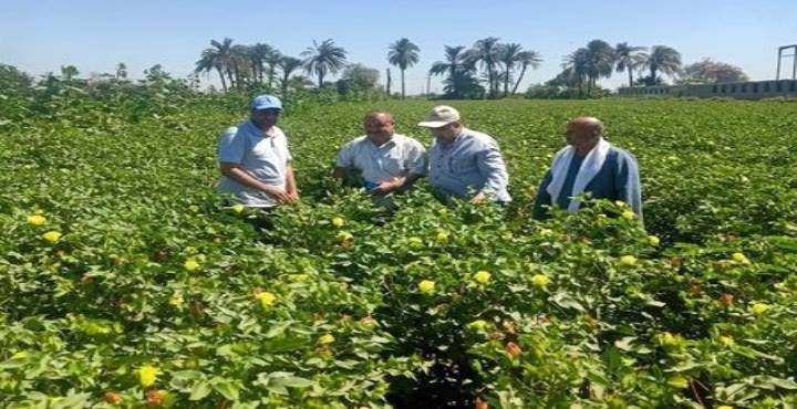وزير الزراعة يتابع جهود حماية الأراضي الزراعية من التعديات في كل محافظات الجمهورية