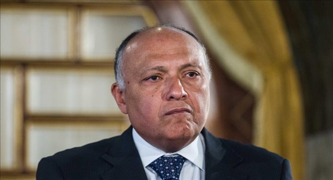 شكري: يجب التصدي لمحاولات إسرائيل الرامية لتصفية القضية الفلسطينية