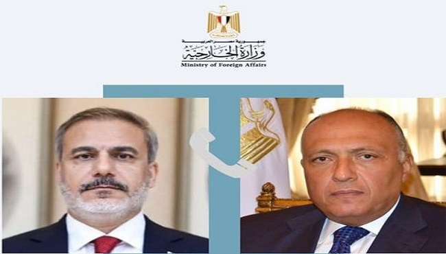 وزير الخارجية ونظيره التركي يؤكدان ضرورة التوصل بشكل عاجل لوقف فوري ودائم لإطلاق النار في غزة