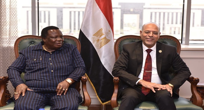بالصور.. وزير العمل: إفريقيا شريك استراتيجي لمصر وتستحق أن تكون على خريطة البلدان المتقدمة