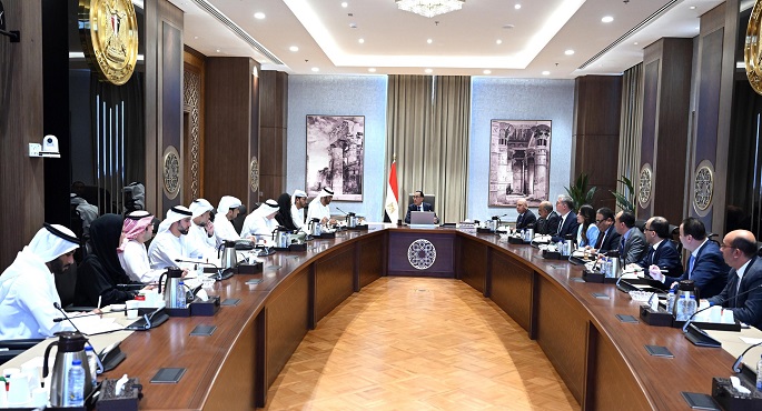 رئيس الوزراء يعلن التعاون مع الإمارات لدعم الشبكة الكهربائية في مصر