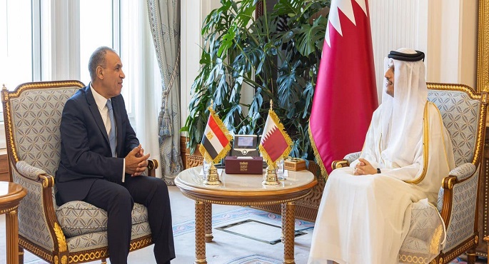 بالصور.. وزير الخارجية والهجرة يعقد جلسة مباحثات مع نظيره القطري حول القضايا الإقليمية والدولية