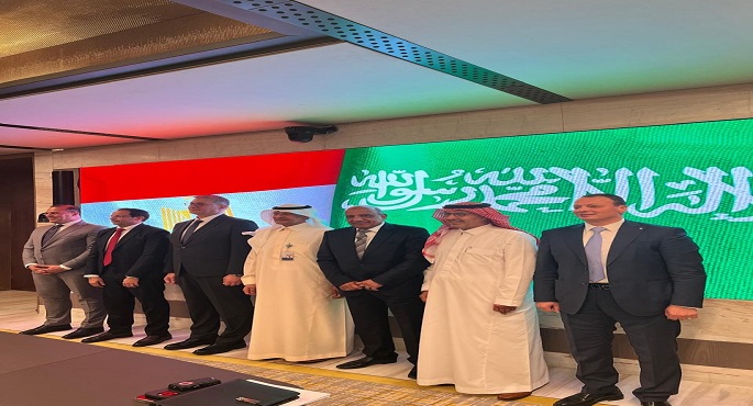 وزير الكهرباء: تعاون مصري سعودي لتشغيل مشروع الربط الكهربائي مطلع الصيف المقبل
