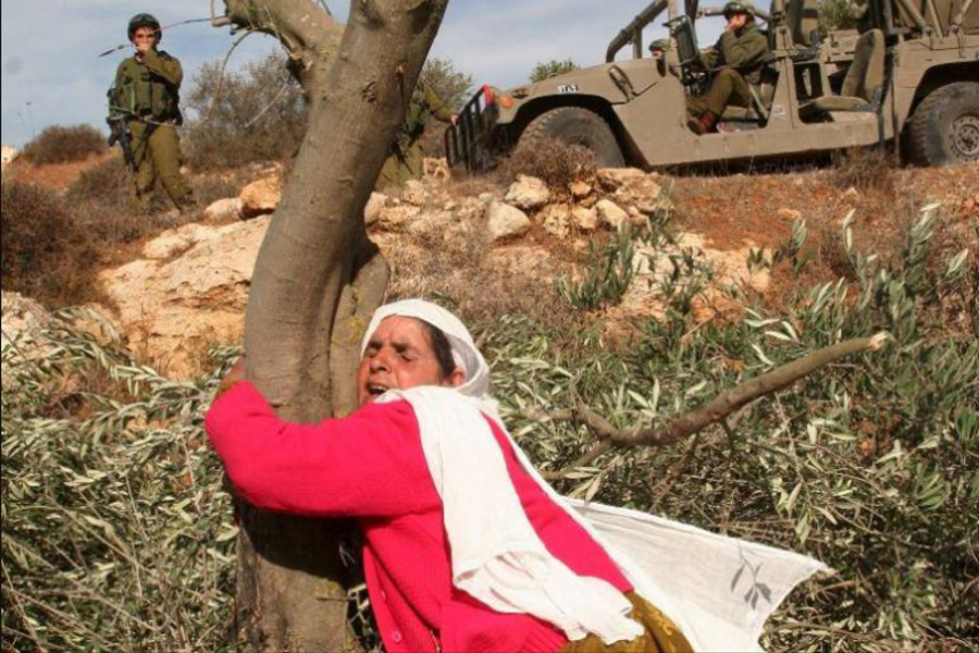 الأمم المتحدة: قتل الفلسطينيين وتهجيرهم بالضفة مستمر بلا هوادة