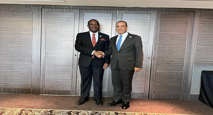 بالصور.. وزير الخارجية والهجرة يشيد بالعلاقات الودية الطيبة بين مصر وناميبيا