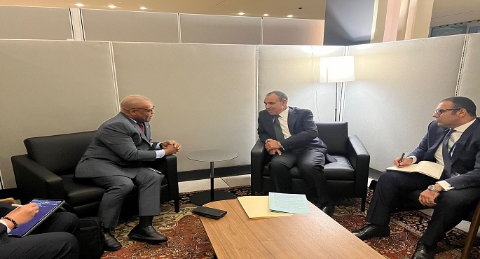 بالصور.. وزير الخارجية يلتقي مع سكرتير عام منظمة الدول الثماني الإسلامية النامية للتعاون الاقتصادي