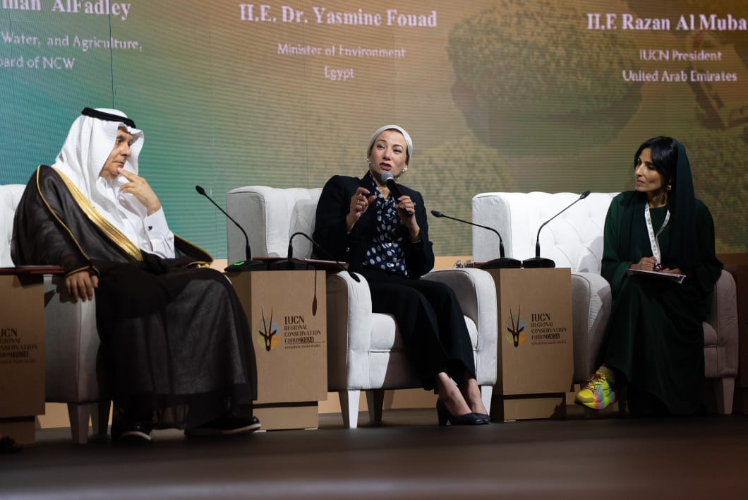 ياسمين فؤاد: هناك حاجة ماسة لتحقيق توازن بين احتیاجات الإنسان والاستدامة البيئية