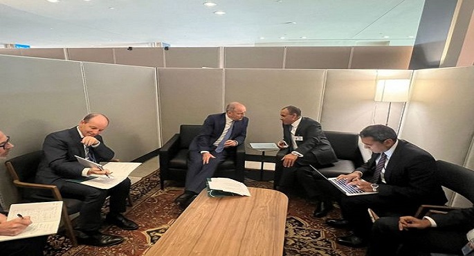 بالصور.. وزير الخارجية يعرب عن التطلع لجذب مزيد من الاستثمارات الأيرلندية المباشرة إلى مصر