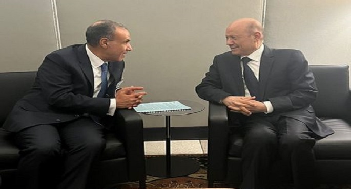 بالصور.. وزير الخارجية يلتقي برئيس المجلس الرئاسي اليمني