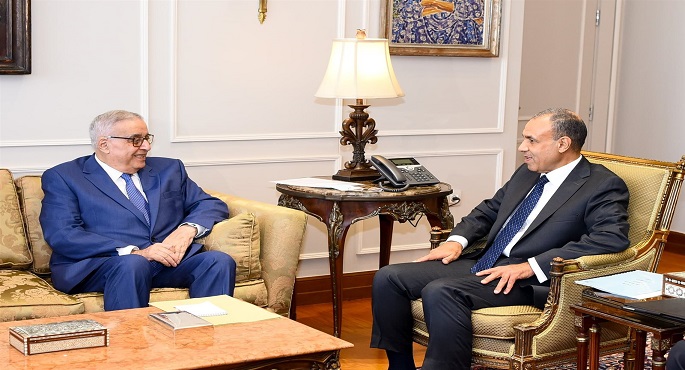 مصر ولبنان تدعوان مجلس الأمن لإصدار قرار يلزم إسرائيل بوقف الحرب على الفلسطينيين واللبنانيين