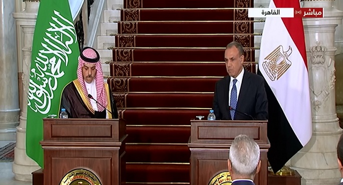 وزير الخارجية: لن نتوقف عن جهودنا الرامية لوقف العدوان على غزة والضفة الغربية