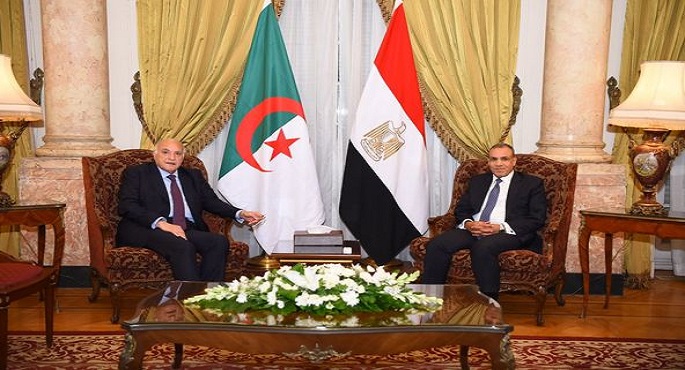 بالصور.. وزير الخارجية والهجرة يلتقي مع نظيره الجزائري خلال الاجتماع الوزاري لمجلس جامعة الدول العربية