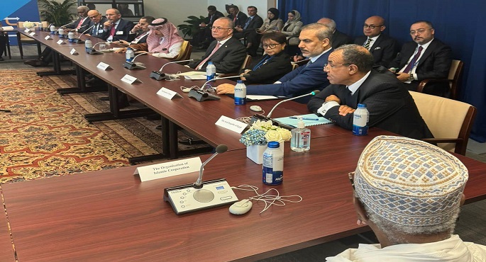 بالصور.. وزير الخارجية يشارك في اجتماع اللجنة العربية الإسلامية مع السكرتير العام للأمم المتحدة