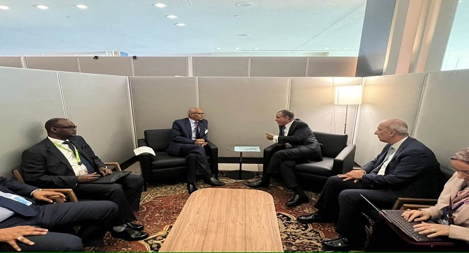 وزير الخارجية يبحث مع نظيره السوداني الأمن المائي المشترك
