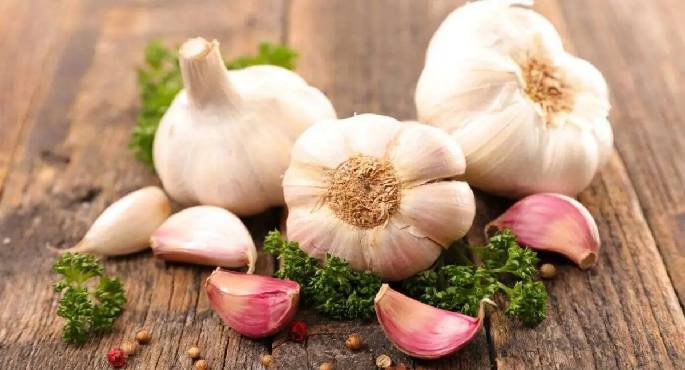 الإفراط في تناول الثوم يسبب اضطراب فى الجهاز الهضمى والدوخة
