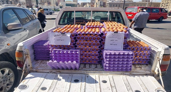 بالصور.. الزراعة تعلن حصيلة جلسة المزاد العلني لبيع وايجار مساحات تابعة للإصلاح الزراعي في ٦ محافظات