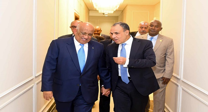 بالصور..وزير الخارجية يشيد بالعلاقات التاريخية التي تربط بين مصر وجيبوتي