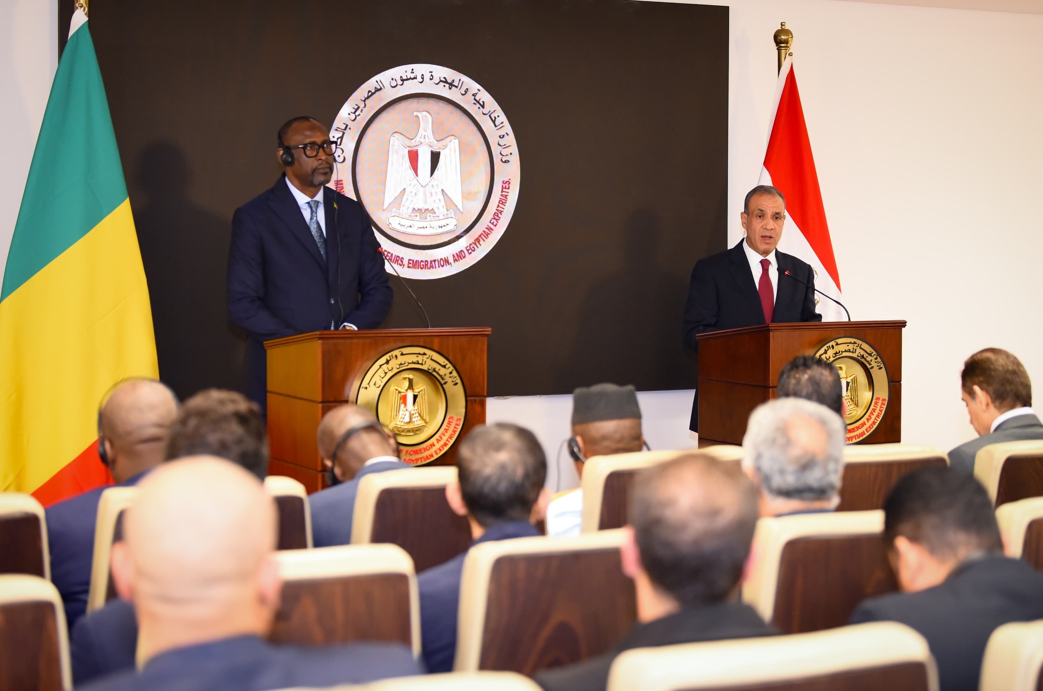 وزير الخارجية: مستعدون لنقل خبرات مصر الكاملة في مجال مكافحة الإرهاب لدولة مالي