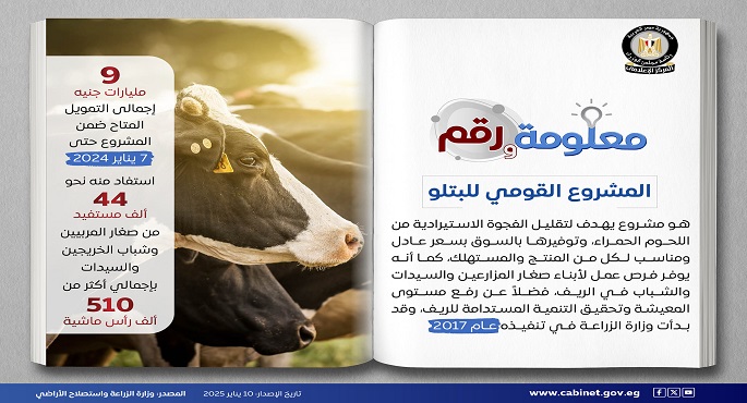 بالإنفوجراف .. مجلس الوزراء: المشروع القومي للبتلو يهدف لتقليل الفجوة الاستيرادية من اللحوم الحمراء