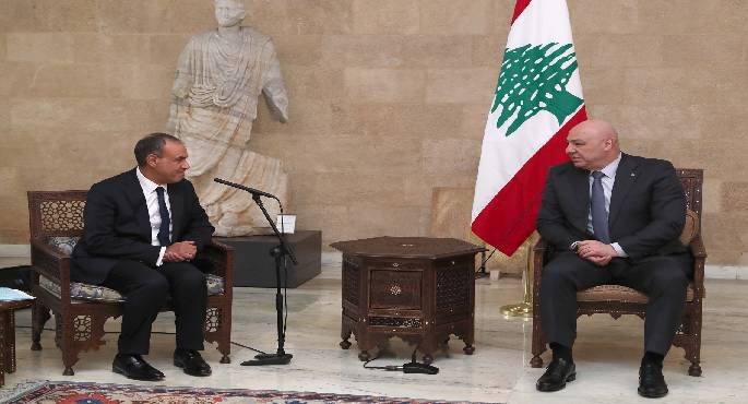 بالصور.. وزير الخارجية ينقل رسالة دعم وتضامن من الرئيس السيسى لنظيره اللبنانى