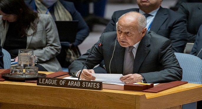 أبو الغيط: إهدار الحق الفلسطيني تهديد ماثل للأمن والسلم الدوليين