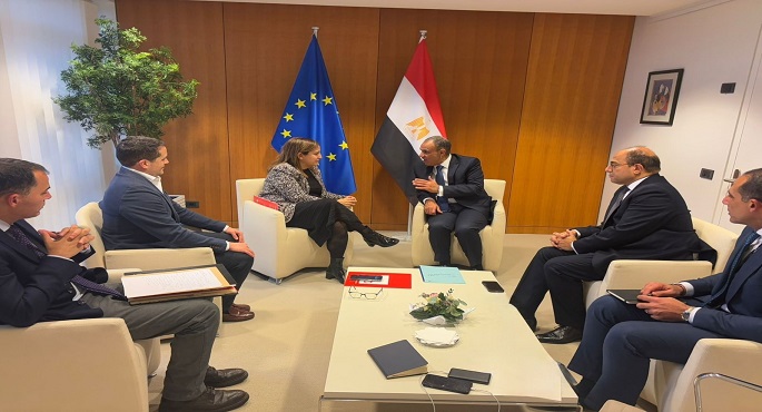 بالصور.. وزير الخارجية يلتقى مع رئيسة مجموعة الاشتراكيين والديمقراطيين بالبرلمان الأوروبى