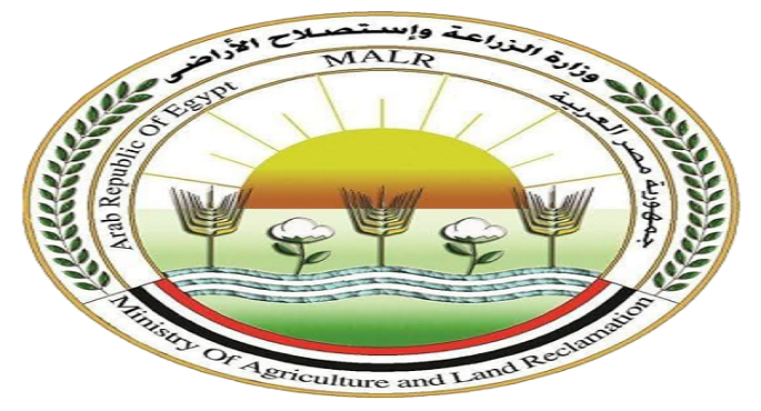 الزراعة: تحصين وتعقيم نحو 5 آلاف كلب حر منذ بداية العام ضمن خطة مكافحة السعار