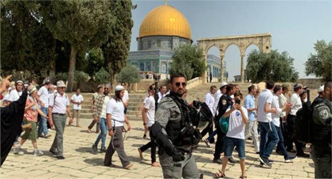 543 مستوطنا يقتحمون الأقصى بحماية الاحتلال الإسرائيلى