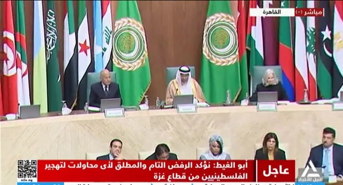 كلمة الأمين العام لجامعة الدول العربية أحمد أبو الغيط اجتماع المجلس الاقتصادى والاجتماعى