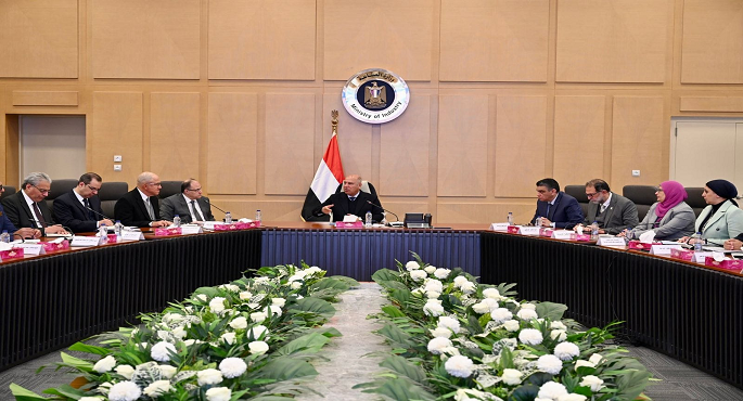 وزير الصناعة والنقل يترأس الاجتماع الثانى للجنة المعنية بوضع حلول لمشاكل ومعوقات صناعة الأدوية فى مصر