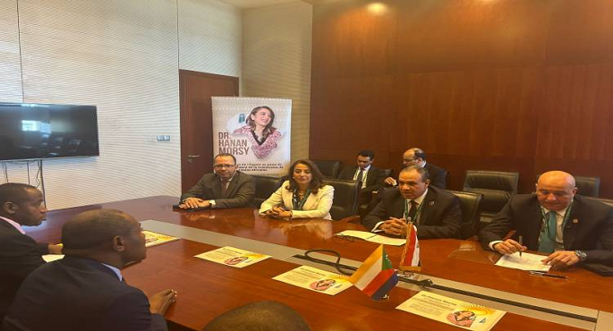 بالصور .. وزير الخارجية يؤكد التزام مصر بدعم جزر القمر فى مختلف المجالات