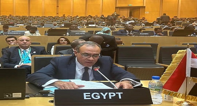 وزير الخارجية يؤكد أهمية العمل الإفريقي المُشترك في مواجهة التحديات التي تواجه القارة