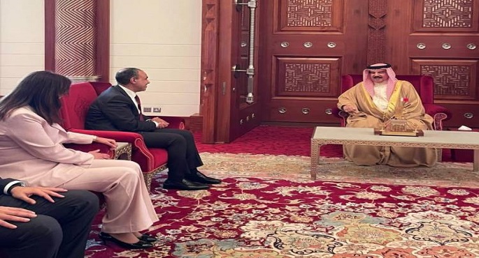 وزير الخارجية لملك البحرين: أمن الخليج جزء لا يتجزأ من الأمن القومى المصرى
