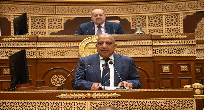 وزير الكهرباء أمام “الشيوخ”: إضافة 2 جيجا وات جديدة خلال صيف 2025 لمواجهة الأحمال المتزايدة
