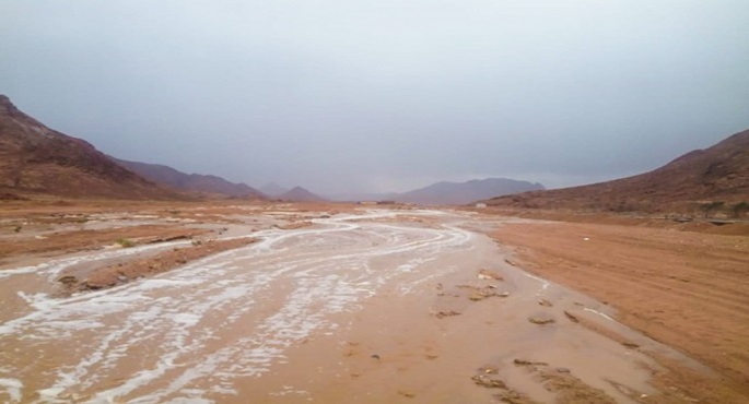 وزير الرى يتابع موقف العاصفة المطيره التى تعرضت لها محافظة جنوب سيناء