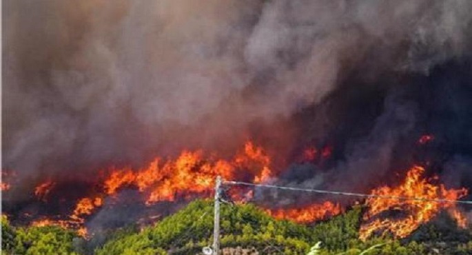 ارتفاع عدد ضحايا حرائق الغابات فى كوريا الجنوبية إلى 65 قتيلا ومصابا