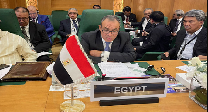 مصر تناشد العالم الإسلامى الاضطلاع بدوره إزاء عملية إعادة إعمار غزة