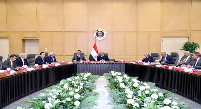 وزيرا النقل والزراعة يبحثان تعزيز الاستفادة من مميزات خط الرورو بين مصر وإيطاليا
