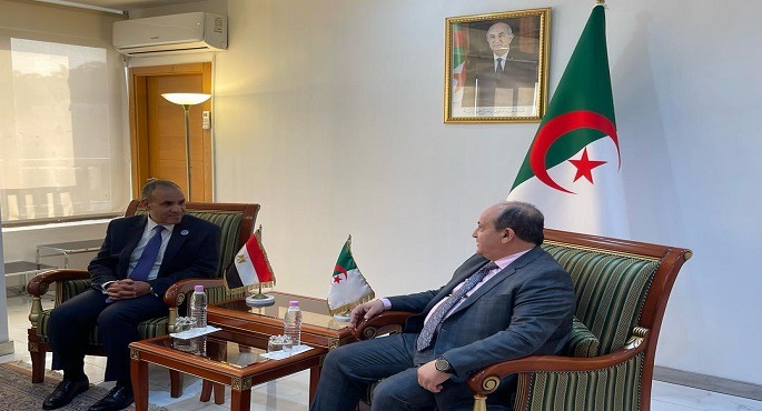 بالصور.. وزير الخارجية يبحث مع وزير الصناعة والإنتاج الصيدلانى الجزائرى العلاقات الثنائية