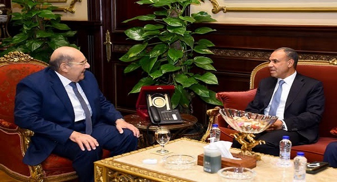 بالصور.. وزير الخارجية والهجرة يلتقى مع رئيس مجلس الشيوخ