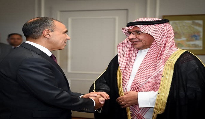 بالصور.. وزير الخارجية والهجرة يستقبل أمين مجلس التنسيق الأعلى المصرى السعودى