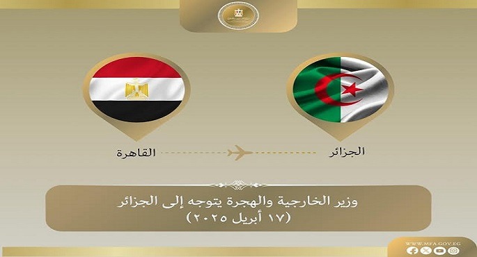 وزير الخارجية يتوجه إلى الجزائر فى زيارة ثنائية
