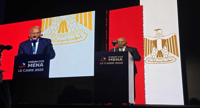 كامل الوزير: العلاقات المصرية الفرنسية تحلق فى فضاء أوسع من التعاون السياسى