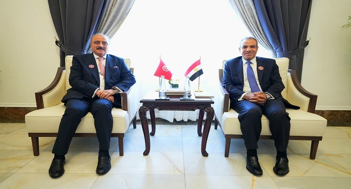 وزير الخارجية يشيد بما تشهده العلاقات الثنائية المصرية-التونسية من طفرة خلال الفترة الأخيرة