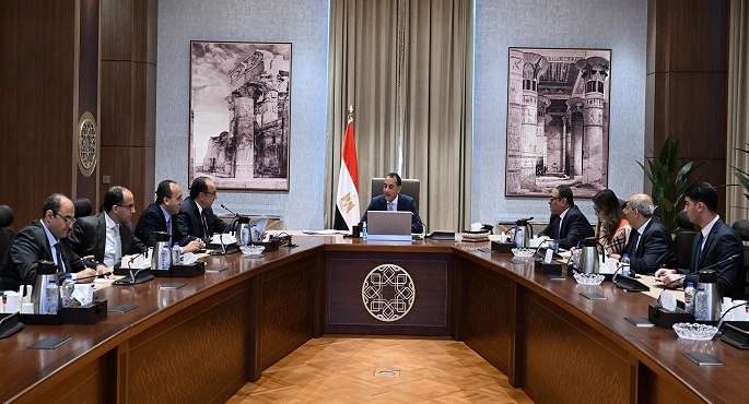 رئيس الوزراء يؤكد ضرورة مواصلة تحسين أداء الشركات القابضة التابعة لقطاع الأعمال العام