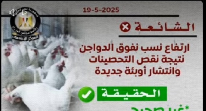 الحكومة: لا وجود لأي متحورات أو فيروسات وبائية بين الدواجن والتحصينات متوفرة