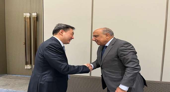 مصر والصين تبحثان نقل وتوطين تكنولوجيا صناعة الخلايا الشمسية وتربينات الرياح وبطاريات تخزين الطاقة