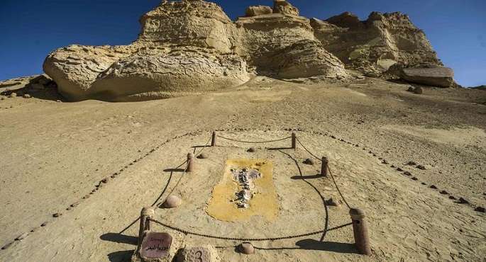 الآثار: الفيوم مؤهلة لتكون من أهم الوجهات السياحية فى مصر والعالم