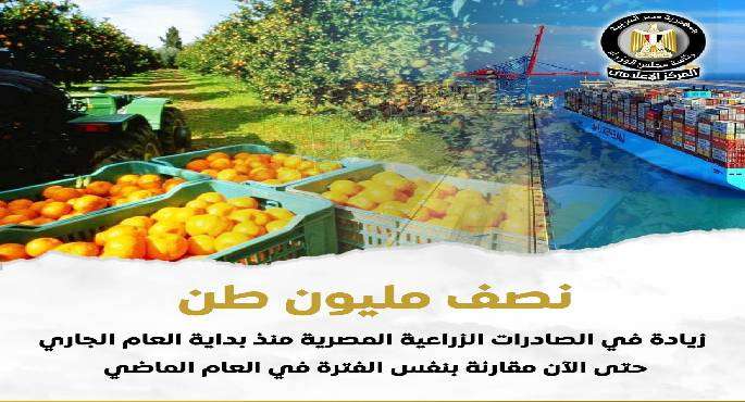 مجلس الوزراء: 4.8 مليون طن صادرات زراعية منذ بداية العام.. والموالح فى المقدمة